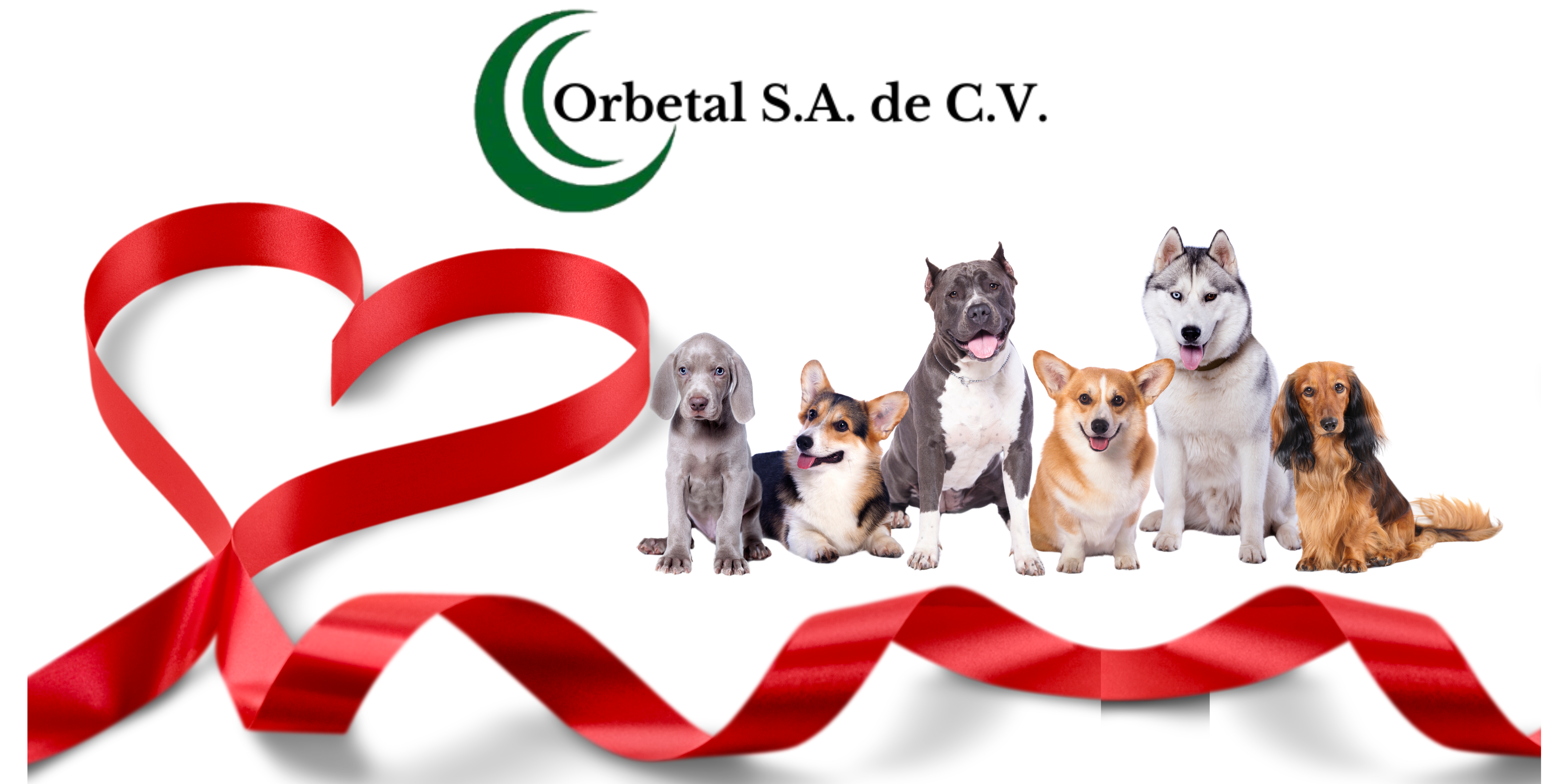 dia del amor y la amistad, alimento para perro.plan criadores cdmx