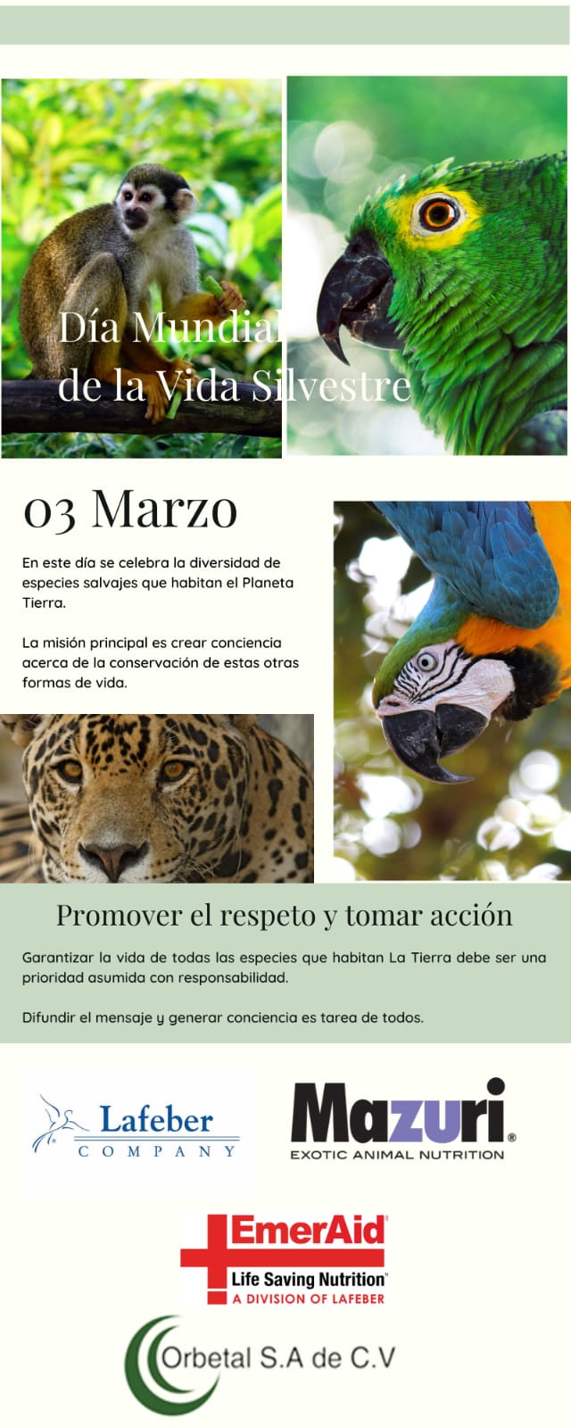 dia mundial de la vida silvestre-fauna-PIMVS-alimento para ave-LAFEBER-MAZURI-EMERAID