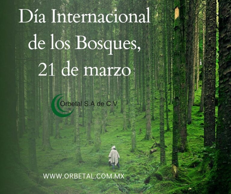 Díaa Mundial De Los Bosques • Orbetal SA De CV • BLOG